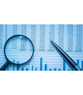Análisis porcentual y mediante ratios de los estados contables.